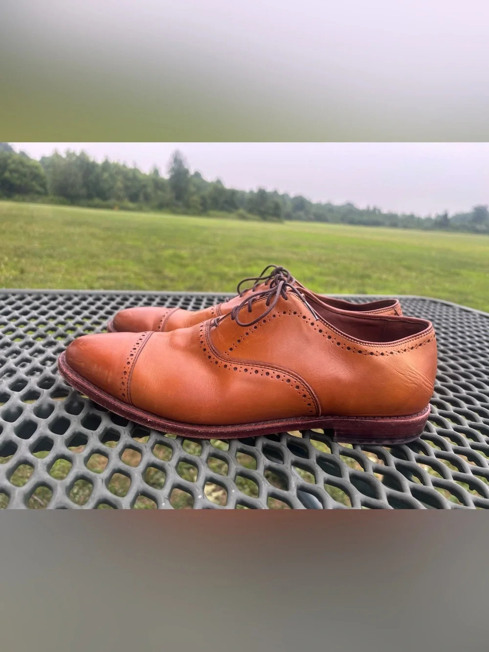 Allen Edmonds Hale Cap Toe Oxford Mens US 11.5 EEE 3E BrownLeather Dress Shoe